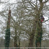 Cabane des Farfadets : avant