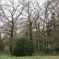 Cabane des Lucioles : avant